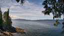 ./images/koeye/fitz-hugh/20250522/fitz-hugh20250522_125010M.jpg