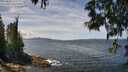 ./images/koeye/fitz-hugh/20250522/fitz-hugh20250522_125509M.jpg