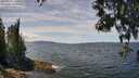 ./images/koeye/fitz-hugh/20250522/fitz-hugh20250522_130011M.jpg