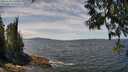 ./images/koeye/fitz-hugh/20250522/fitz-hugh20250522_130510M.jpg