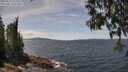 ./images/koeye/fitz-hugh/20250522/fitz-hugh20250522_133510M.jpg