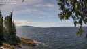 ./images/koeye/fitz-hugh/20250522/fitz-hugh20250522_134009M.jpg