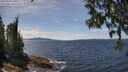 ./images/koeye/fitz-hugh/20250522/fitz-hugh20250522_135010M.jpg