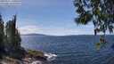 ./images/koeye/fitz-hugh/20250522/fitz-hugh20250522_140011M.jpg