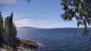 ./images/koeye/fitz-hugh/20250522/fitz-hugh20250522_141011M.jpg