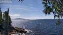 ./images/koeye/fitz-hugh/20250522/fitz-hugh20250522_145010M.jpg