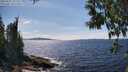 ./images/koeye/fitz-hugh/20250522/fitz-hugh20250522_151510M.jpg