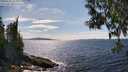 ./images/koeye/fitz-hugh/20250522/fitz-hugh20250522_153509M.jpg