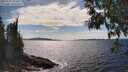 ./images/koeye/fitz-hugh/20250522/fitz-hugh20250522_155010M.jpg