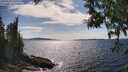 ./images/koeye/fitz-hugh/20250522/fitz-hugh20250522_160508M.jpg