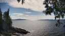 ./images/koeye/fitz-hugh/20250522/fitz-hugh20250522_161508M.jpg