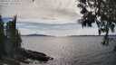 ./images/koeye/fitz-hugh/20250522/fitz-hugh20250522_163011M.jpg
