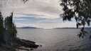 ./images/koeye/fitz-hugh/20250522/fitz-hugh20250522_163509M.jpg