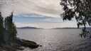 ./images/koeye/fitz-hugh/20250522/fitz-hugh20250522_164010M.jpg