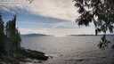 ./images/koeye/fitz-hugh/20250522/fitz-hugh20250522_164510M.jpg