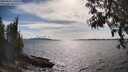 ./images/koeye/fitz-hugh/20250522/fitz-hugh20250522_165510M.jpg