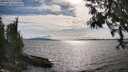 ./images/koeye/fitz-hugh/20250522/fitz-hugh20250522_171509M.jpg