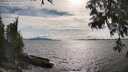 ./images/koeye/fitz-hugh/20250522/fitz-hugh20250522_172009M.jpg