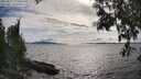 ./images/koeye/fitz-hugh/20250522/fitz-hugh20250522_172510M.jpg