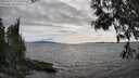 ./images/koeye/fitz-hugh/20250522/fitz-hugh20250522_173510M.jpg