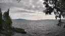 ./images/koeye/fitz-hugh/20250522/fitz-hugh20250522_174011M.jpg