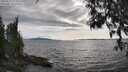 ./images/koeye/fitz-hugh/20250522/fitz-hugh20250522_174510M.jpg