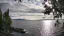 ./images/koeye/fitz-hugh/20250522/fitz-hugh20250522_182509M.jpg