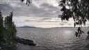 ./images/koeye/fitz-hugh/20250522/fitz-hugh20250522_183510M.jpg