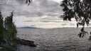 ./images/koeye/fitz-hugh/20250522/fitz-hugh20250522_184010M.jpg