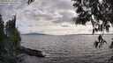./images/koeye/fitz-hugh/20250522/fitz-hugh20250522_184510M.jpg