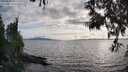 ./images/koeye/fitz-hugh/20250522/fitz-hugh20250522_185010M.jpg