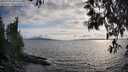 ./images/koeye/fitz-hugh/20250522/fitz-hugh20250522_185510M.jpg