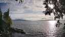 ./images/koeye/fitz-hugh/20250522/fitz-hugh20250522_190009M.jpg