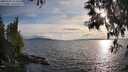 ./images/koeye/fitz-hugh/20250522/fitz-hugh20250522_191009M.jpg