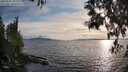 ./images/koeye/fitz-hugh/20250522/fitz-hugh20250522_191508M.jpg