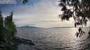 ./images/koeye/fitz-hugh/20250522/fitz-hugh20250522_192009M.jpg