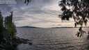 ./images/koeye/fitz-hugh/20250522/fitz-hugh20250522_193509M.jpg