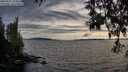 ./images/koeye/fitz-hugh/20250522/fitz-hugh20250522_194009M.jpg