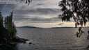 ./images/koeye/fitz-hugh/20250522/fitz-hugh20250522_194509M.jpg
