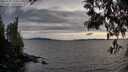 ./images/koeye/fitz-hugh/20250522/fitz-hugh20250522_195009M.jpg