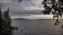 ./images/koeye/fitz-hugh/20250522/fitz-hugh20250522_200508M.jpg