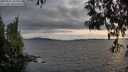 ./images/koeye/fitz-hugh/20250522/fitz-hugh20250522_201009M.jpg
