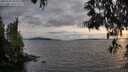 ./images/koeye/fitz-hugh/20250522/fitz-hugh20250522_202508M.jpg