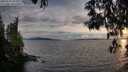 ./images/koeye/fitz-hugh/20250522/fitz-hugh20250522_203009M.jpg