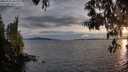 ./images/koeye/fitz-hugh/20250522/fitz-hugh20250522_203509M.jpg