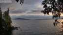 ./images/koeye/fitz-hugh/20250522/fitz-hugh20250522_204508M.jpg