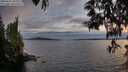 ./images/koeye/fitz-hugh/20250522/fitz-hugh20250522_205008M.jpg