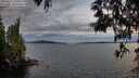 ./images/koeye/fitz-hugh/20250522/fitz-hugh20250522_210009M.jpg