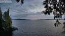 ./images/koeye/fitz-hugh/20250522/fitz-hugh20250522_212008M.jpg