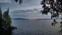 ./images/koeye/fitz-hugh/20250522/fitz-hugh20250522_212508M.jpg